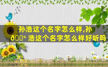 孙浩这个名字怎么样,孙 💮 浩这个名字怎么样好听吗